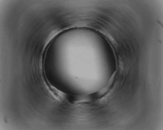 X0000097780894200803071347