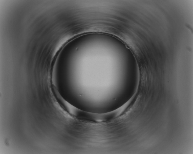 X0000097780896200803071347