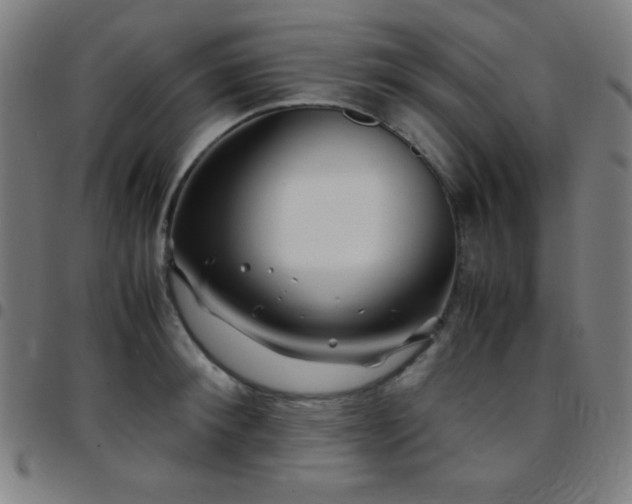 X0000097780900200803071347