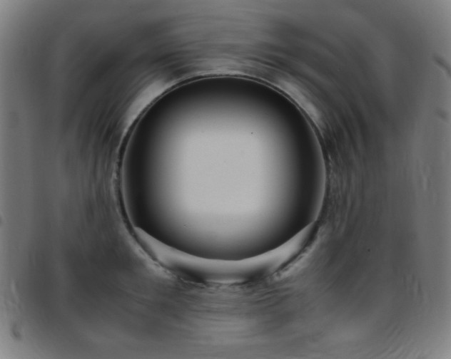 X0000097780901200803071346