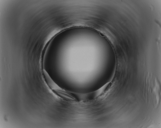 X0000097780902200803071346
