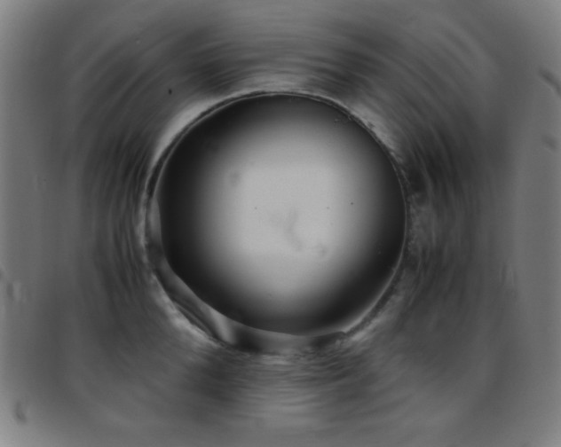 X0000097780904200803071346