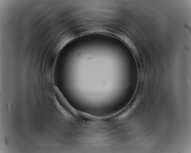 X0000097780905200803071346