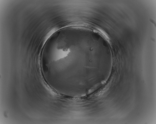 X0000097780907200803071346