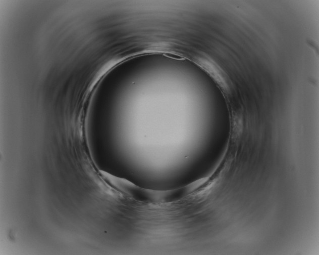 X0000097780908200803071346
