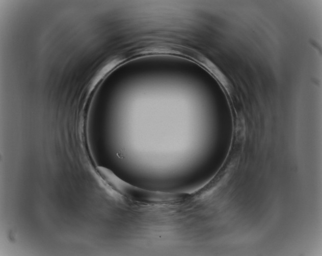 X0000097780909200803071346