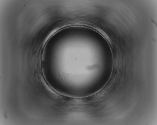 X0000097780911200803071346