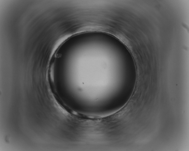 X0000097780912200803071346