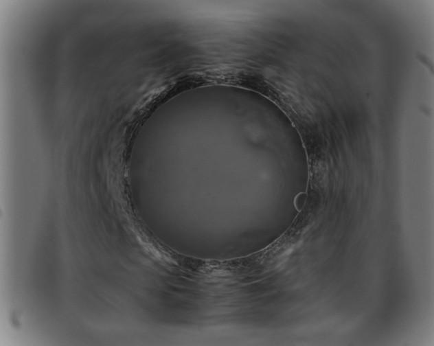 X0000097780913200803071345
