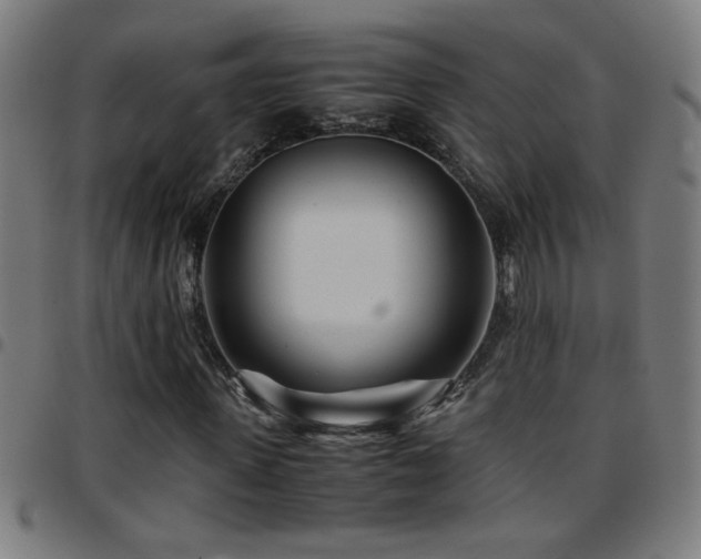 X0000097780915200803071346