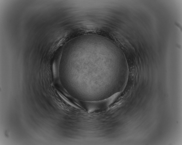 X0000097780916200803071346