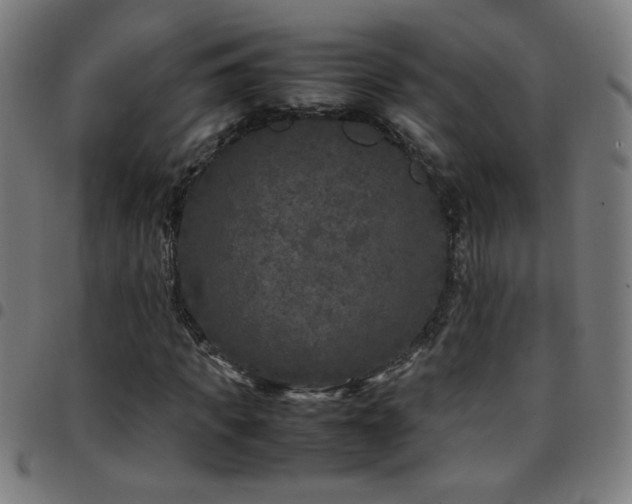 X0000097780917200803071346