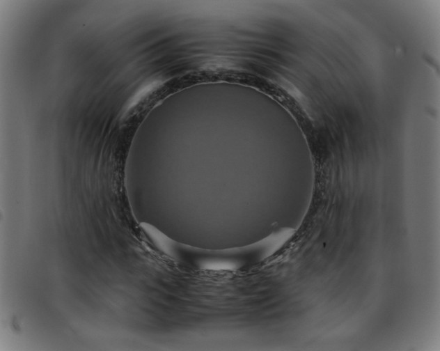X0000097780919200803071346