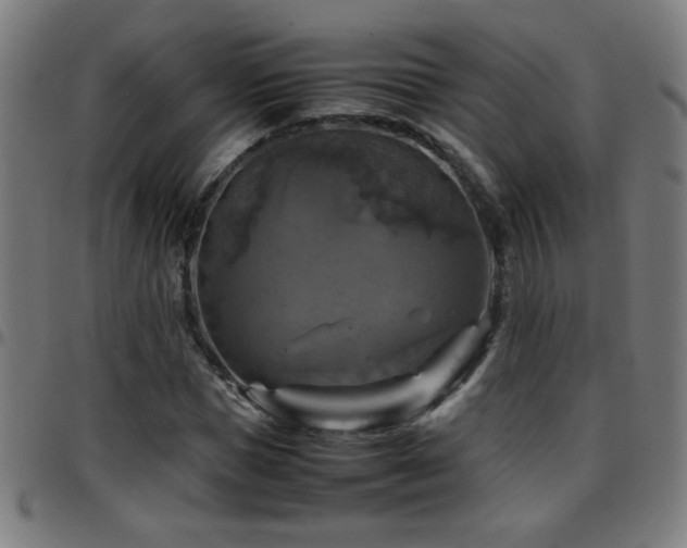 X0000097780921200803071346