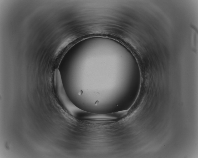 X0000097780922200803071346