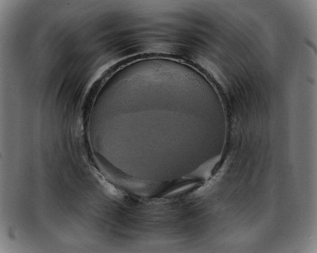 X0000097780923200803071346