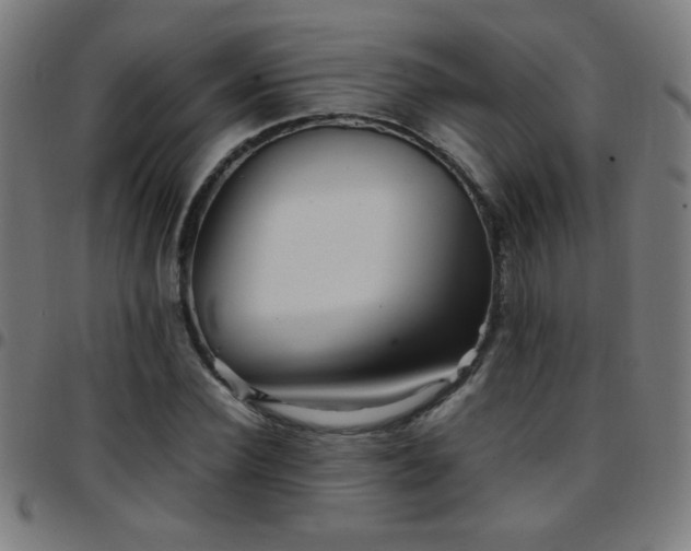 X0000097780924200803071346