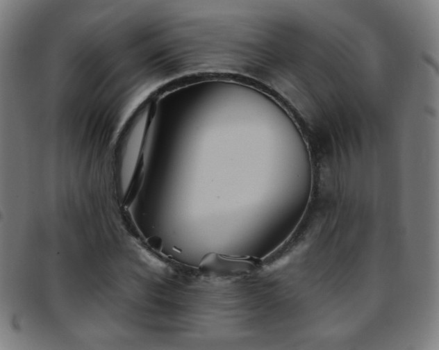 X0000097780926200803071346