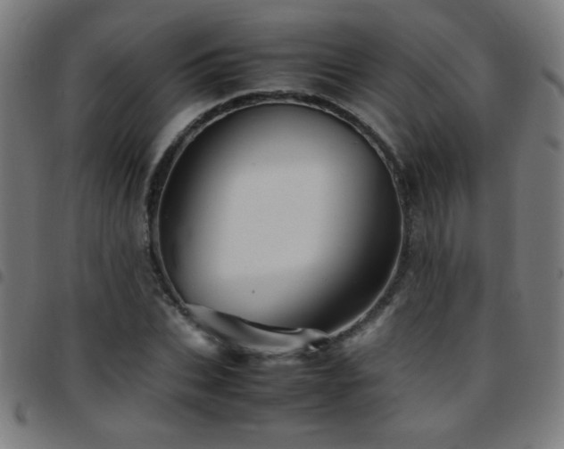 X0000097780927200803071346
