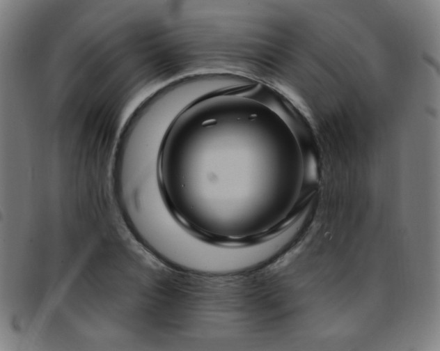 X0000097780928200803071346