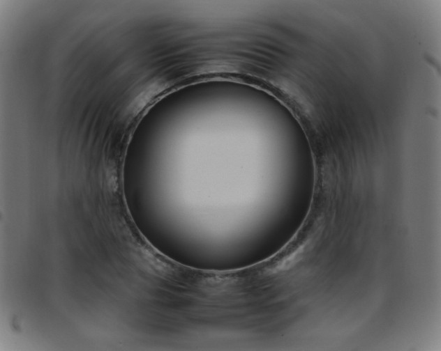 X0000097780929200803071346