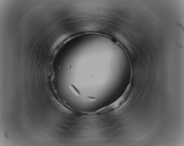 X0000097780930200803071346