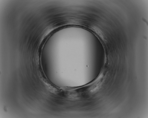 X0000097780931200803071346