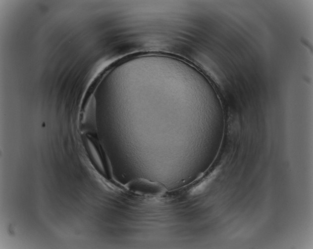 X0000097780932200803071346
