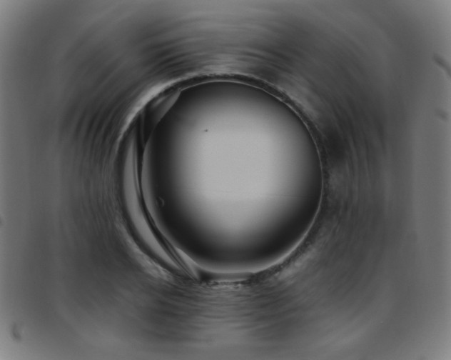 X0000097780934200803071346