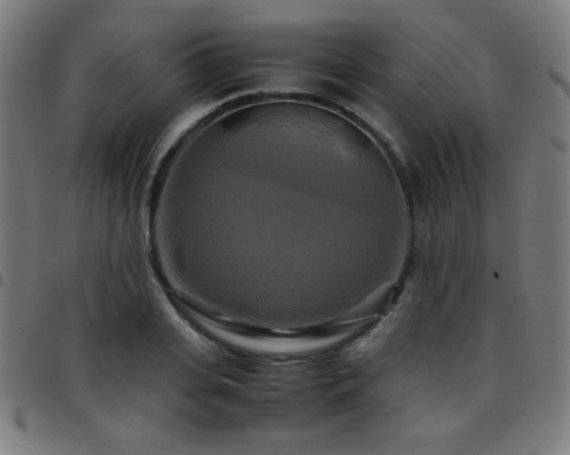 X0000097780935200803071346