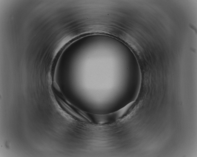 X0000097780936200803071346