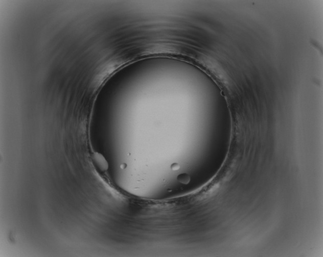 X0000097780937200803071346