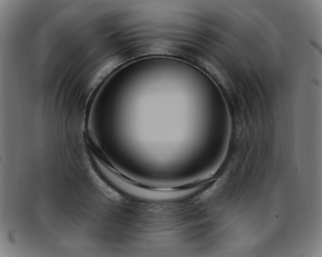 X0000097780938200803071346