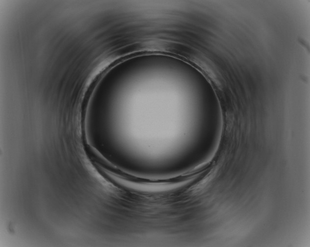 X0000097780939200803071346
