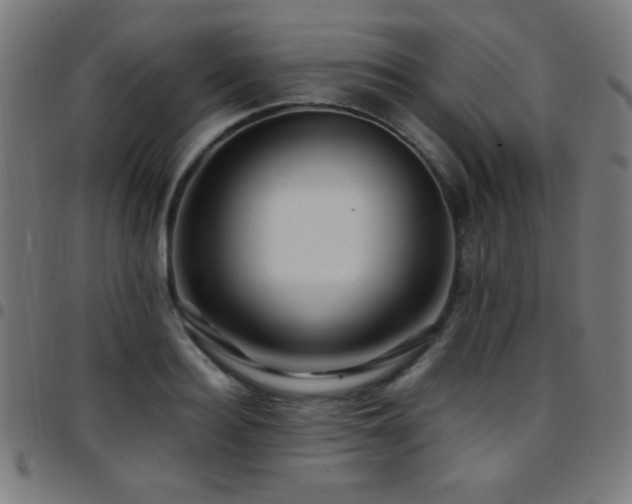 X0000097780940200803071346