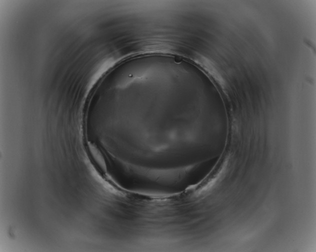 X0000097780941200803071346