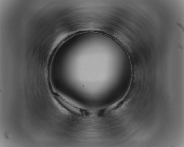 X0000097780942200803071346