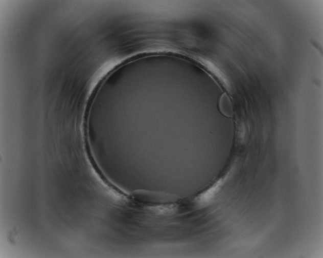 X0000097780943200803071346