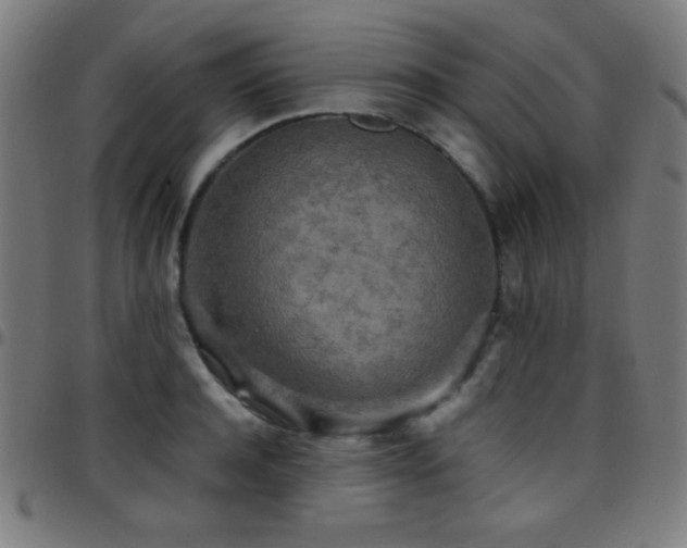 X0000097780944200803071346