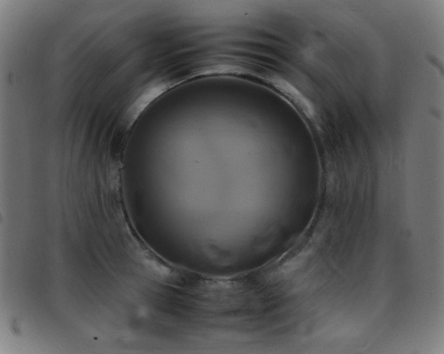 X0000097780945200803071346