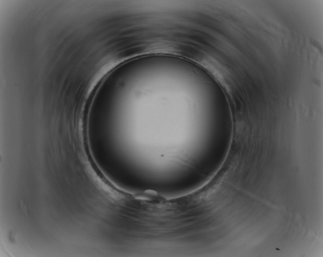 X0000097780947200803071346