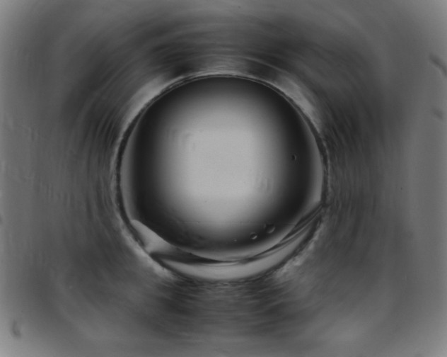 X0000097780949200803071346