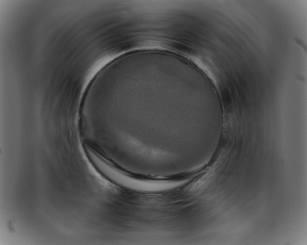 X0000097780951200803071346