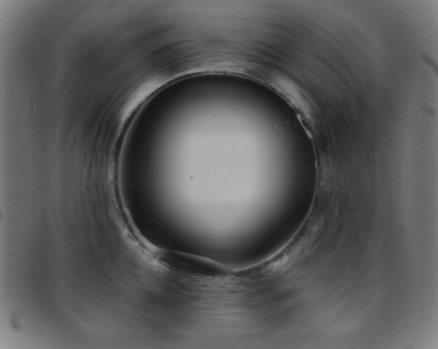 X0000097780952200803071346
