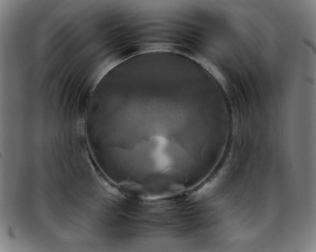 X0000097780953200803071346