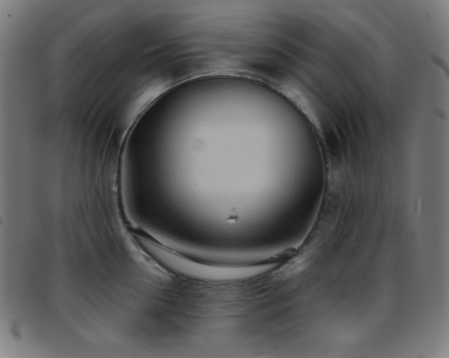 X0000097780954200803071346
