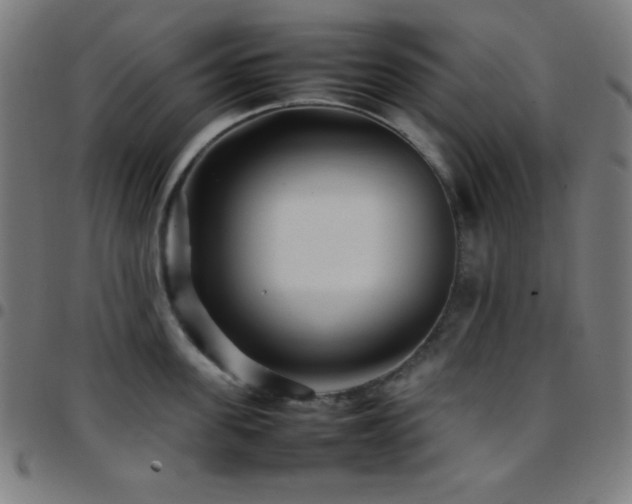 X0000097780955200803071346
