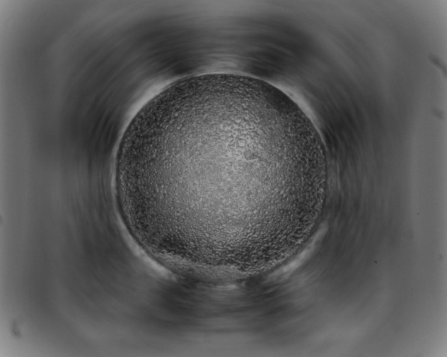 X0000097780957200803071346