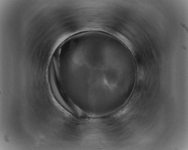 X0000097780958200803071346