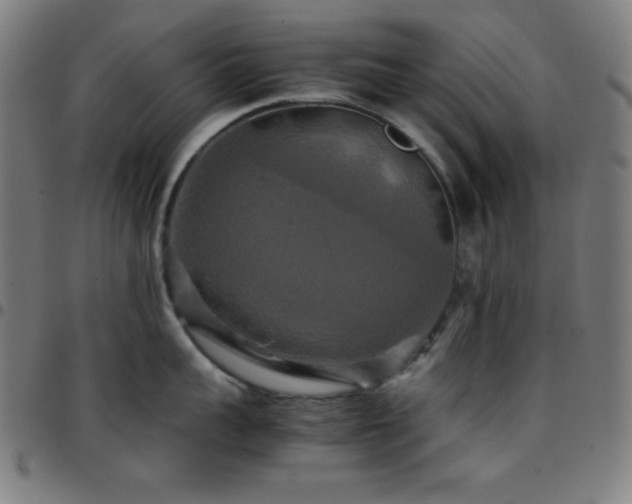 X0000097780959200803071346